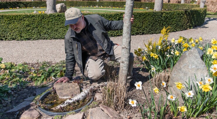 små vandhuller med planter som vandmynte og blåhat. 